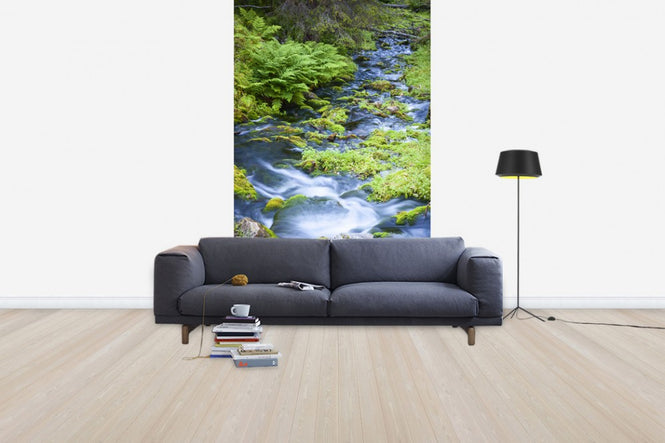 PHOTOWALL / Finnish Brook (e41144)