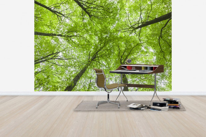 PHOTOWALL / Green Tree Peaks (e41150)