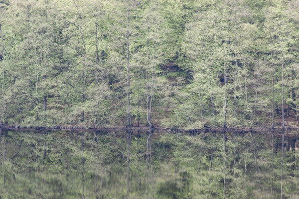 PHOTOWALL / Mirroring (e41155)