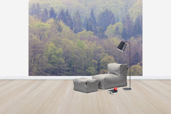 PHOTOWALL / Mixed Forest (e41157)