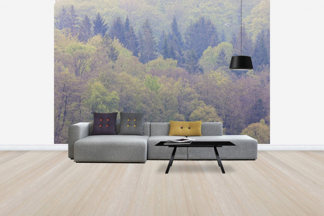 PHOTOWALL / Mixed Forest (e41157)