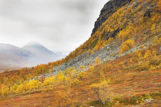 PHOTOWALL / Saltoluokta Autumn Landscape (e41163)