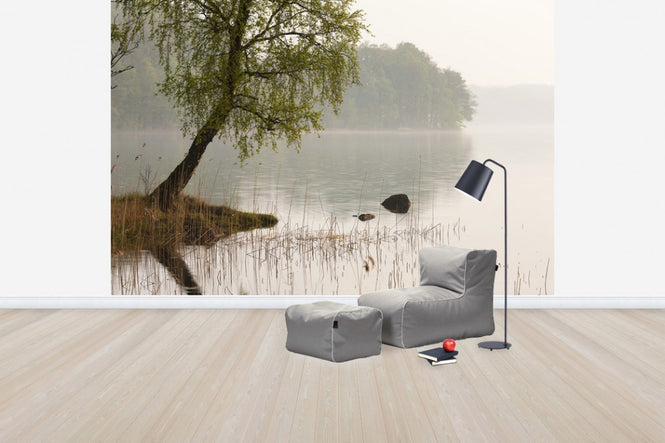 PHOTOWALL / Tree at Swedish Lake (e41169)