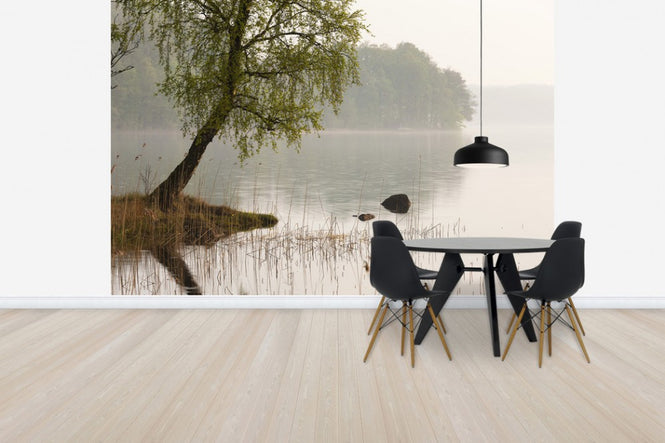 PHOTOWALL / Tree at Swedish Lake (e41169)