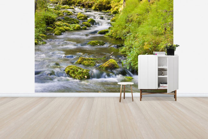 PHOTOWALL / Vaarkankuru River (e41170)