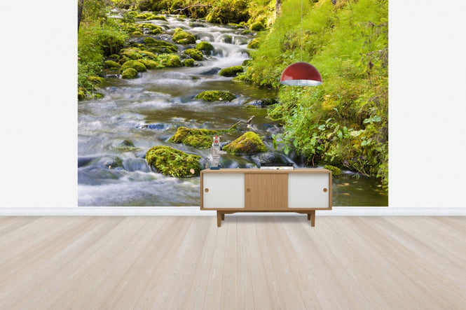 PHOTOWALL / Vaarkankuru River (e41170)