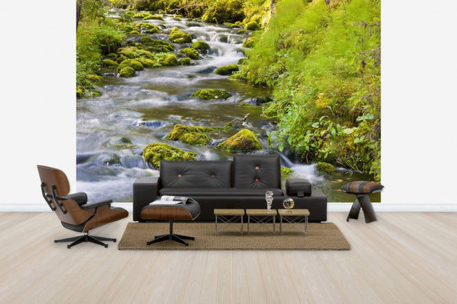 PHOTOWALL / Vaarkankuru River (e41170)