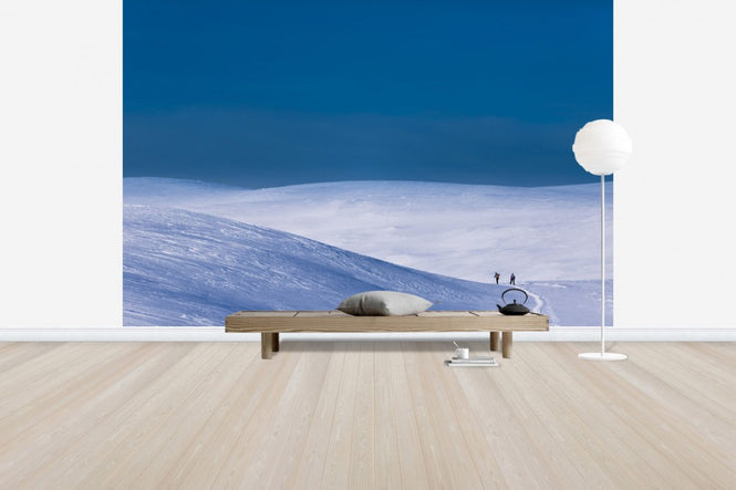 PHOTOWALL / Bydalsfjallen, Jamtland (e50028)