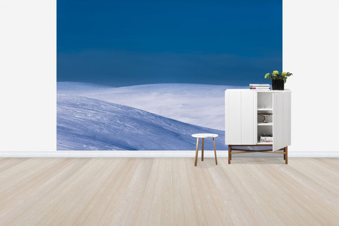 PHOTOWALL / Bydalsfjallen, Jamtland (e50028)
