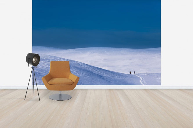 PHOTOWALL / Bydalsfjallen, Jamtland (e50028)