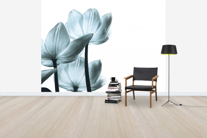 PHOTOWALL / Translucent Tulips (e50046)