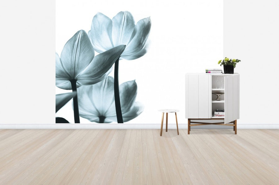 PHOTOWALL / Translucent Tulips (e50046)