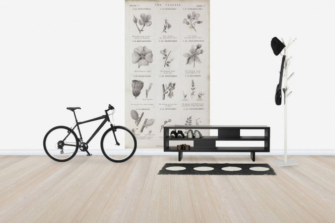 PHOTOWALL / Botanical Chart (e50063)