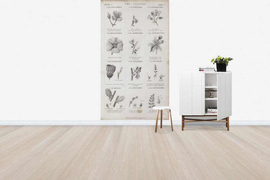 PHOTOWALL / Botanical Chart (e50063)