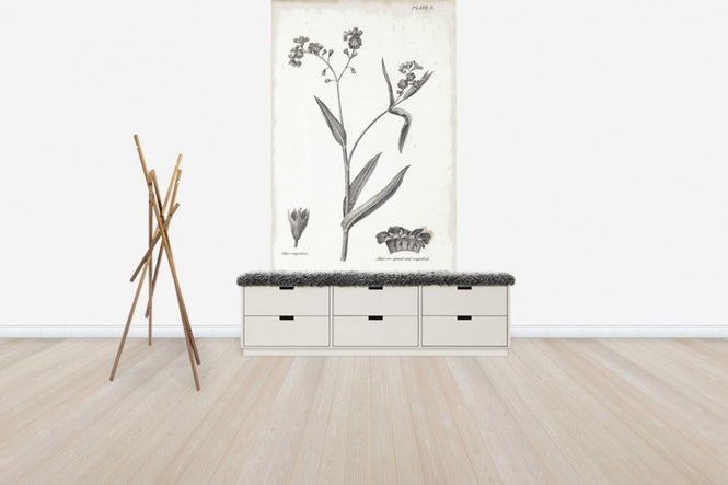 PHOTOWALL / Botanical Chart - Water Mouse Ear (e50064)