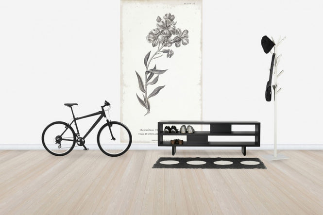 PHOTOWALL / Botanical Chart - Common Wall Flower(e50068)