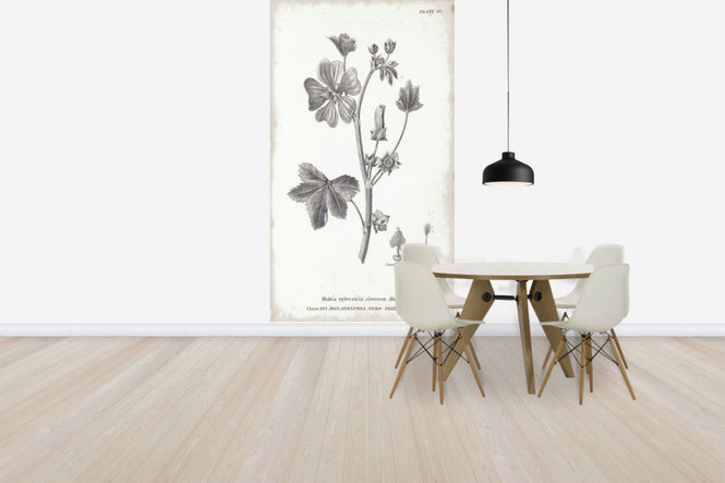 PHOTOWALL / Botanical Chart - Common Mallow (e50069)