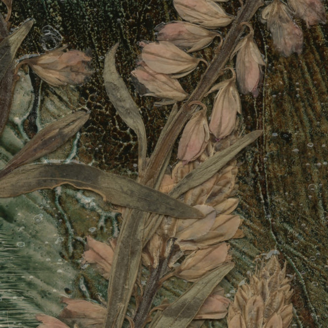 PHOTOWALL / Flora Hysterica 4 (e50075)