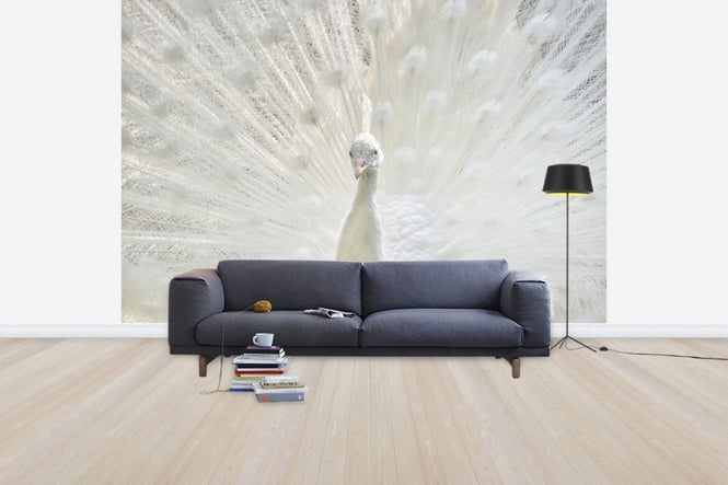 PHOTOWALL / White Peacock (e50209)