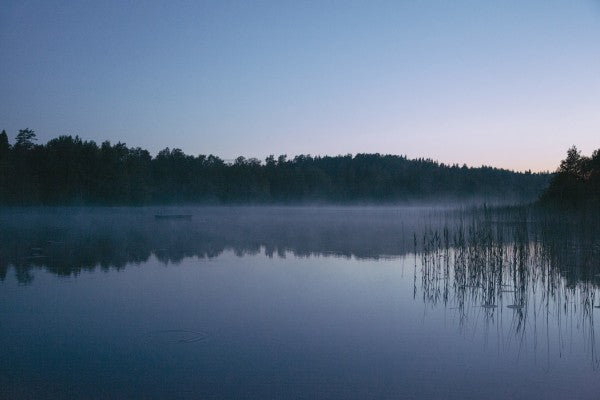 PHOTOWALL / Summer Evening by the Lake (e50252)