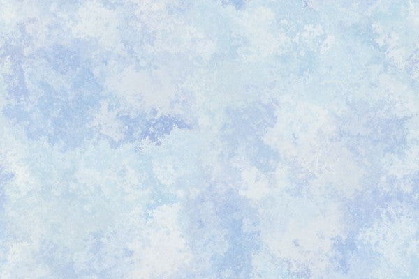 PHOTOWALL / Flying High Sky 2 (e50288)