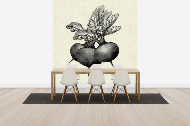 PHOTOWALL / Kitchen Illustration - Beets (e31005)