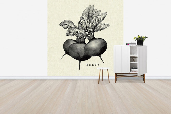 PHOTOWALL / Kitchen Illustration - Beets (e31005)
