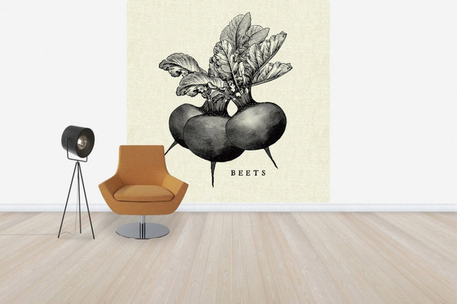 PHOTOWALL / Kitchen Illustration - Beets (e31005)