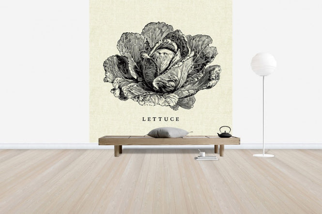 PHOTOWALL / Kitchen Illustration - Lettuce (e31006)