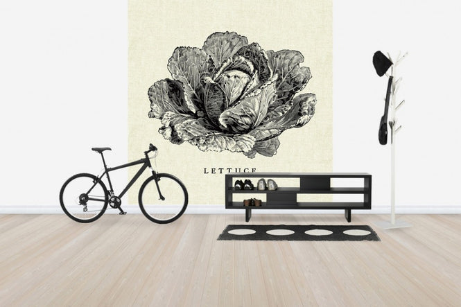 PHOTOWALL / Kitchen Illustration - Lettuce (e31006)