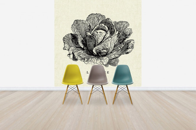 PHOTOWALL / Kitchen Illustration - Lettuce (e31006)