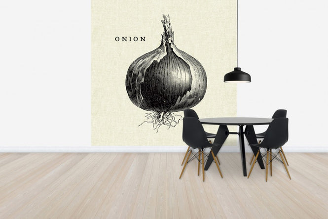 PHOTOWALL / Kitchen Illustration - Onion (e31007)