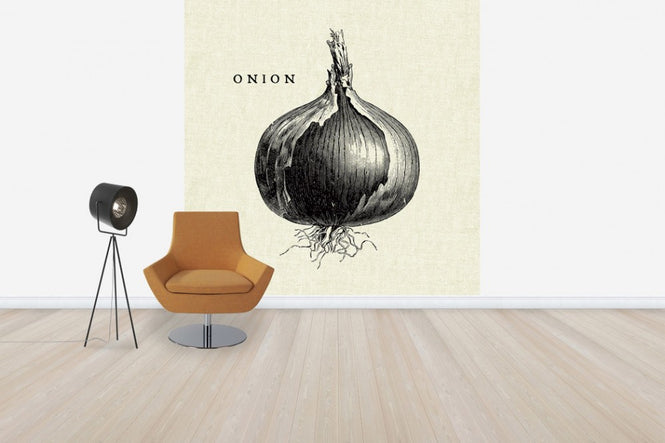 PHOTOWALL / Kitchen Illustration - Onion (e31007)