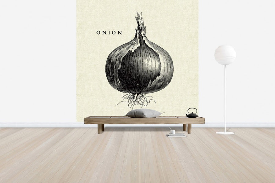 PHOTOWALL / Kitchen Illustration - Onion (e31007)