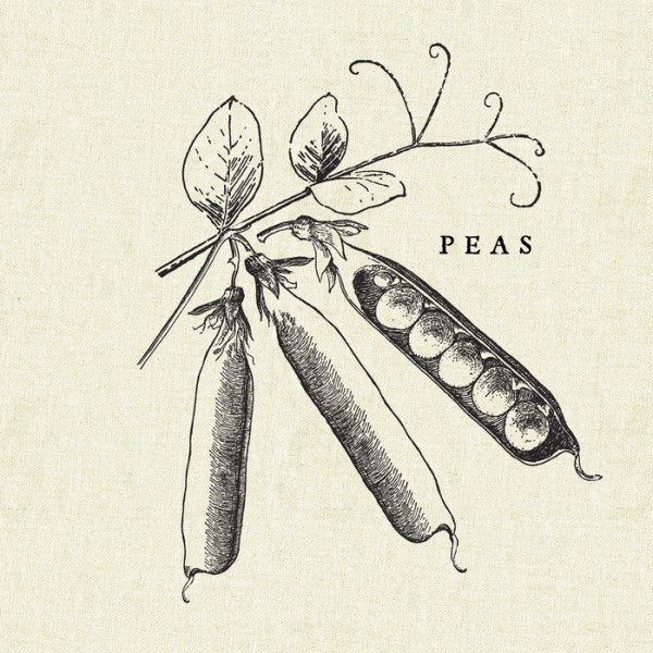 PHOTOWALL / Kitchen Illustration - Peas (e31008)