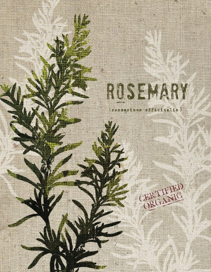 PHOTOWALL / Organic Rosemary (e31052)