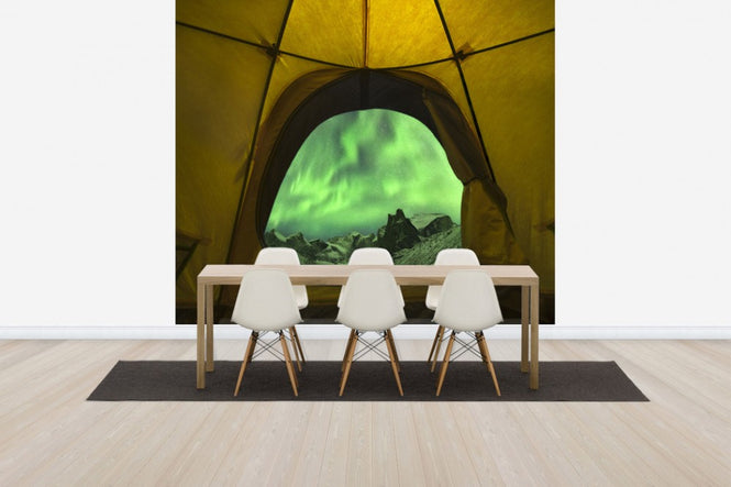 PHOTOWALL / Aurora Borealis Seen from Tent, Alaska (e31087)