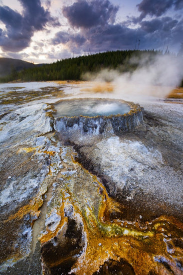 PHOTOWALL / Hotspring, Yellowstone National Park (e31110)