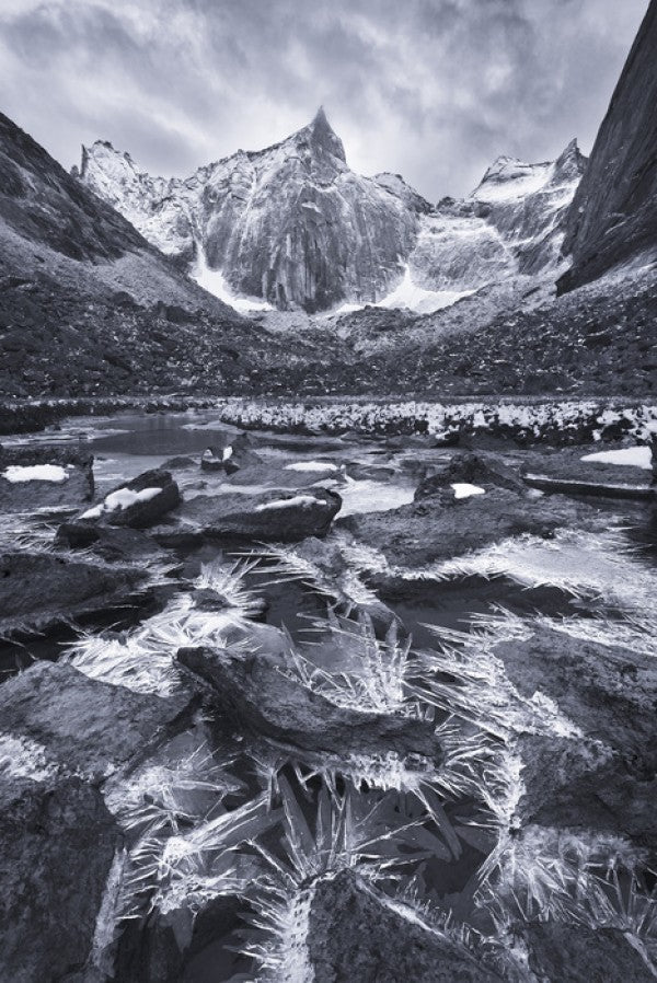 PHOTOWALL / Ice crystals Along a Small Creek, Alaska (e31113)