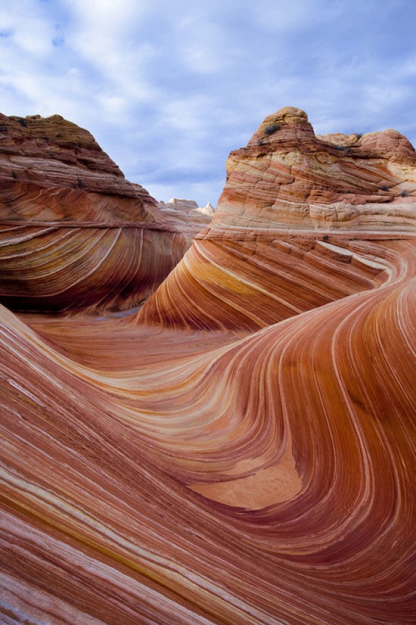 PHOTOWALL / Twisted Sandstone Curves, Vermilion Cliffs, Arizona (e31141)