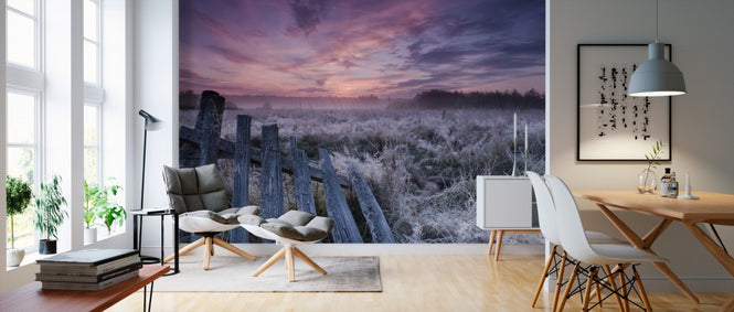 PHOTOWALL / Dawn of Bialowieza Meadows (e310043)
