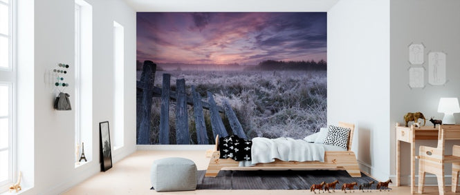 PHOTOWALL / Dawn of Bialowieza Meadows (e310043)