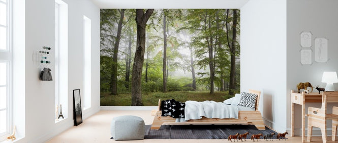 PHOTOWALL / Forest Fog (e310083)