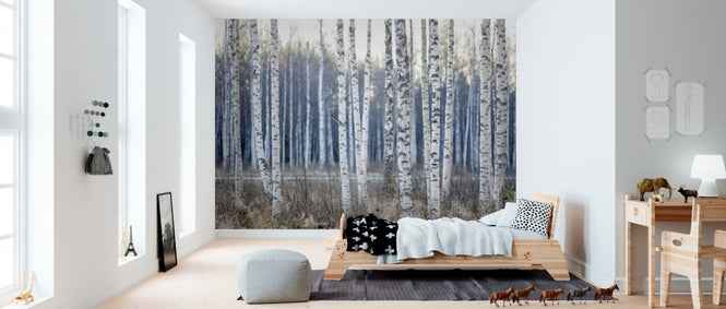 PHOTOWALL / Birch Tree (e310096)