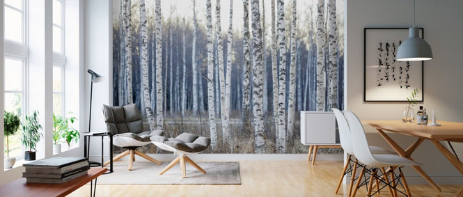 PHOTOWALL / Birch Tree (e310096)