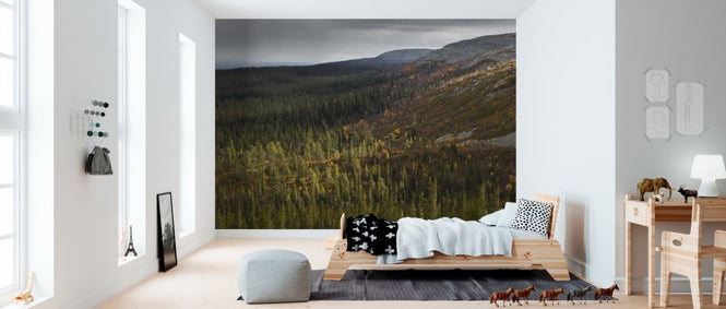 PHOTOWALL / Overcast Sky (e310100)