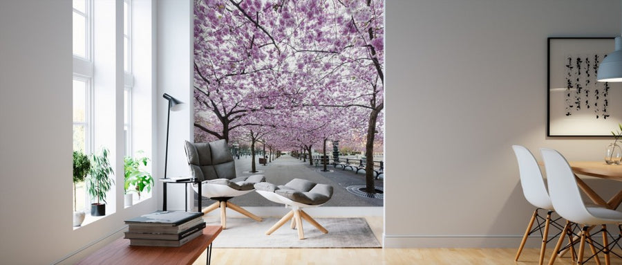 PHOTOWALL / Cherry Tree Blossoms (e310111)