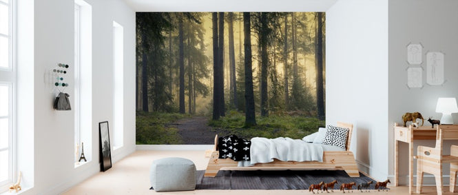 PHOTOWALL / Forest Footpath (e310127)