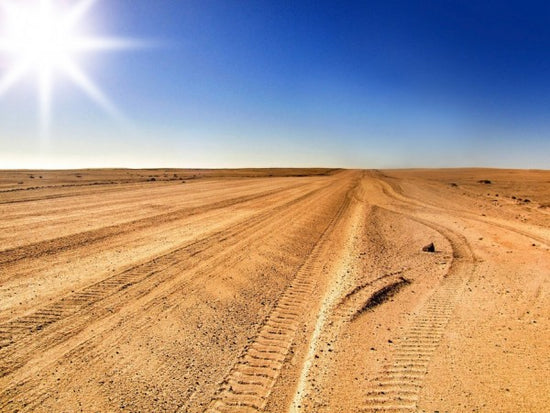 PHOTOWALL / Area 51 Desert (e310166)