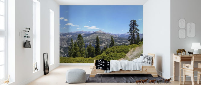 PHOTOWALL / Yosemite National Park (e310176)